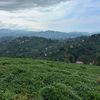 adem293434