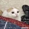 dctrngdzaik6