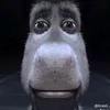 scpguy0