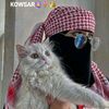 qaali.qurux981