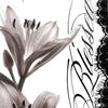 adlaoui.isshak