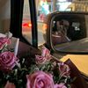 elzn_10