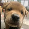 kaung.myat.lin112