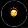 shabir.janii
