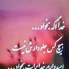 user8133318345439
