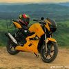 md.sorif1336
