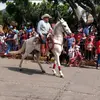 el.gallo8933