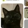 natys5689