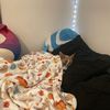 alice_and_tucker09