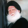 alialali_08