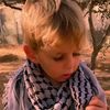 ammar.amer0.1