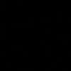 9.lvzizl