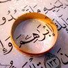 borgi.radhi