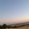 emirbek929