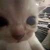 nam_app1