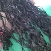 .nane870