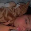 kl.aradb