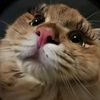 iamnotviolet0