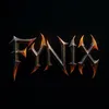 fynix_street