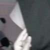 pingwin12