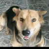 trumiar_vn