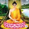 bichhavu70