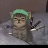 xz_roblox2