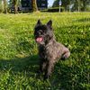 timoredder0