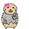 zubu_girl