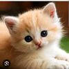 user6548105274308