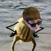 kazorykazory