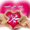 gamal8793420259627