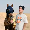 z_aca5