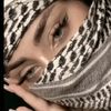ilin0381
