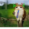 hugemepls2