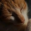 yulistya975