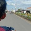 xcurly12