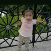 nmai_srh