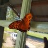 marieholder6