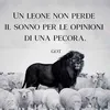 alessandro.rizzat2