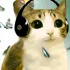 0nlytw3ntyf0urchar4cters