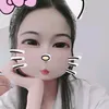 vietdo211