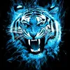 user015967052