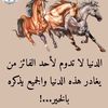 user33088819217257