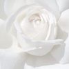prudent_02