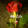 sandip.kanxo.35