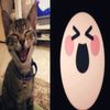 wibzzow