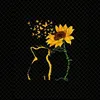 btranqq_33