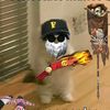 monky.d.luufy48