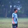 palupi0607